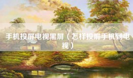 手机投屏电视黑屏（怎样投屏手机到电视）
