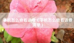 手机怎么查看话费（手机怎么查看话费清单）