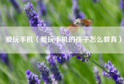 爱玩手机（爱玩手机的孩子怎么教育）