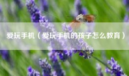 爱玩手机（爱玩手机的孩子怎么教育）