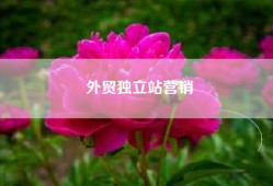 外贸独立站营销