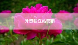 外贸独立站营销
