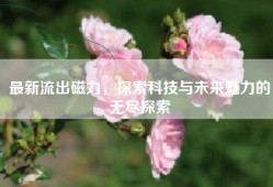 最新流出磁力，探索科技与未来魅力的无尽探索