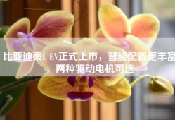 比亚迪秦L EV正式上市，智能配置更丰富，两种驱动电机可选