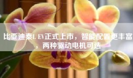 比亚迪秦L EV正式上市，智能配置更丰富，两种驱动电机可选