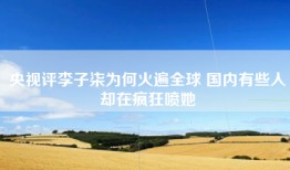央视评李子柒为何火遍全球 国内有些人却在疯狂喷她