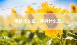 手机什么迪（手机什么鬼）