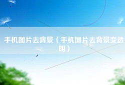 手机图片去背景（手机图片去背景变透明）