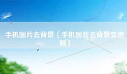 手机图片去背景（手机图片去背景变透明）