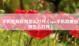 手机隐藏应用怎么打开（iqoo手机隐藏应用怎么打开）