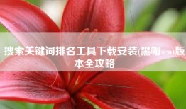 搜索关键词排名工具下载安装(黑帽seo)版本全攻略