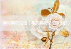 手机刷机论坛（手机刷机论坛哪个好）