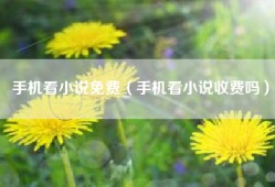 手机看小说免费（手机看小说收费吗）