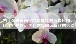 为什么推荐南宁网站优化要选择白帽seo优化？白帽seo优化与黑帽seo优化的区别