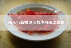 刚入行新媒体运营小白面试攻略
