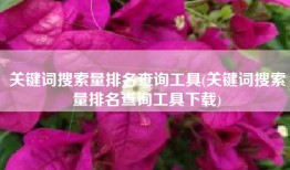 关键词搜索量排名查询工具(关键词搜索量排名查询工具下载)
