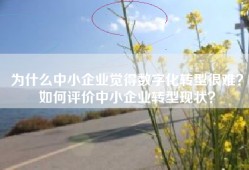 为什么中小企业觉得数字化转型很难？如何评价中小企业转型现状？