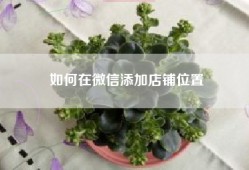 如何在微信添加店铺位置