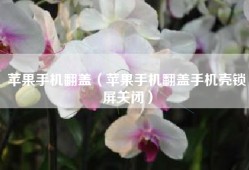 苹果手机翻盖（苹果手机翻盖手机壳锁屏关闭）