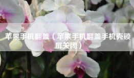 苹果手机翻盖（苹果手机翻盖手机壳锁屏关闭）