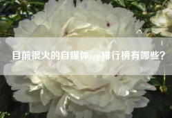 目前很火的自媒体app排行榜有哪些？