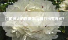 目前很火的自媒体app排行榜有哪些？