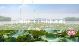 手机烤机（手机烤机测试）