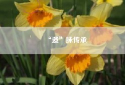 “遗”脉传承