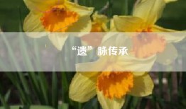 “遗”脉传承