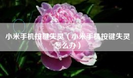 小米手机按键失灵（小米手机按键失灵怎么办）