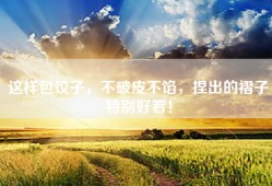 这样包饺子，不破皮不馅，捏出的褶子特别好看！