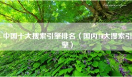 中国十大搜索引擎排名（国内10大搜索引擎）