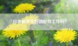 日本留学生回国好找工作吗？