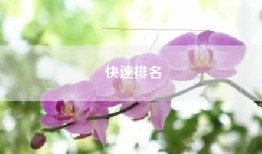 快速排名