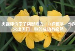 央视评价李子柒影响力：14岁辍学，28岁火出国门，她的成功有必然