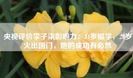 央视评价李子柒影响力：14岁辍学，28岁火出国门，她的成功有必然