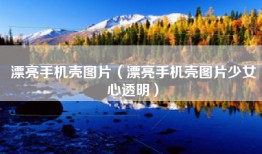 漂亮手机壳图片（漂亮手机壳图片少女心透明）