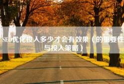 SEO优化投入多少才会有效果（的重要性与投入策略）