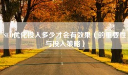 SEO优化投入多少才会有效果（的重要性与投入策略）