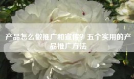 产品怎么做推广和宣传？五个实用的产品推广方法