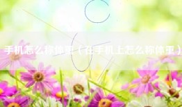 手机怎么称体重（在手机上怎么称体重）