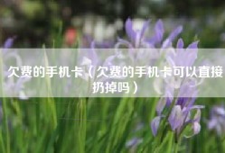 欠费的手机卡（欠费的手机卡可以直接扔掉吗）