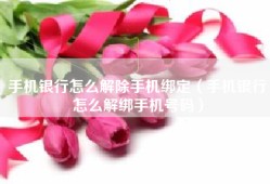 手机银行怎么解除手机绑定（手机银行怎么解绑手机号码）