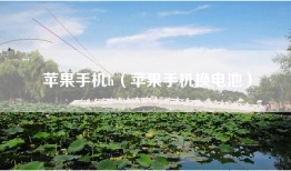 苹果手机h（苹果手机换电池）