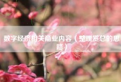 数字经济相关商业内容（整理赏总的思路）