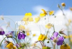 “数字灵工”催生一人公司