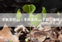 手机支付app（手机支付app下载二维码）