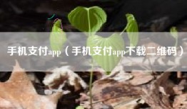 手机支付app（手机支付app下载二维码）