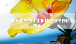 手机咋连接电视（手机咋连接电视机看电视）