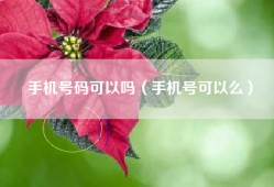 手机号码可以吗（手机号可以么）
